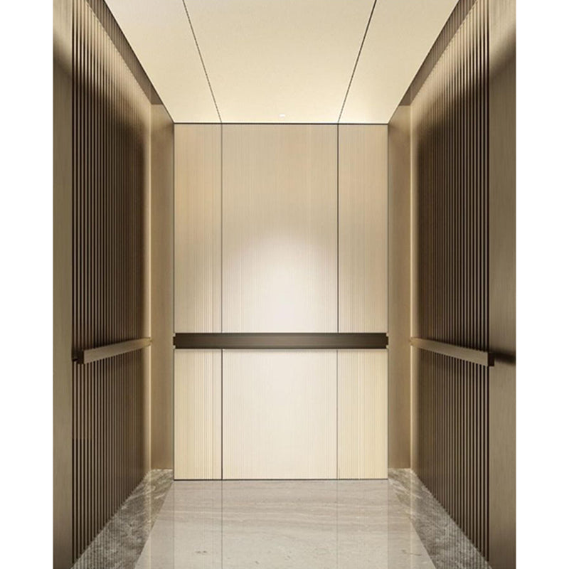 ZhongLing passenger lift(Price please ask customer service)Home Villa Lift Commercial