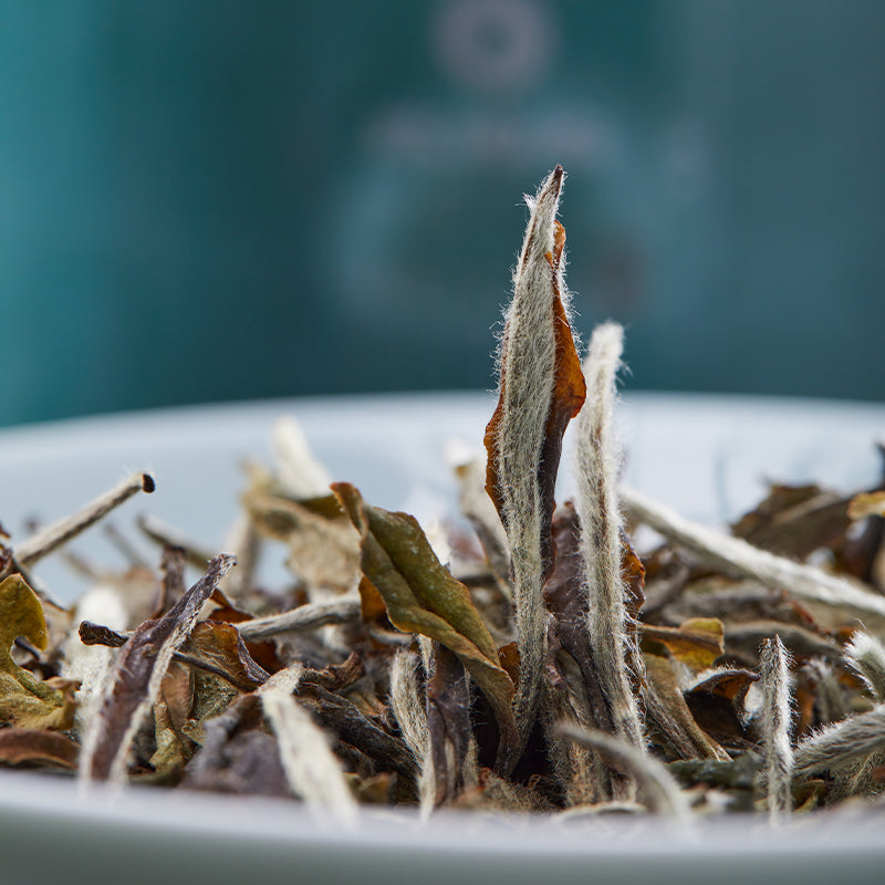 ChenYuanTai Sedimentation · White Peony Specifications: 50g/box Specifications per item: 60 cans Minimum order quantity: 100 2019 Settled Special Grade